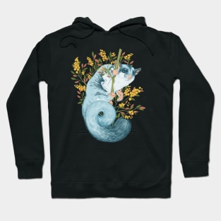 Sugar Glider Tee Hoodie